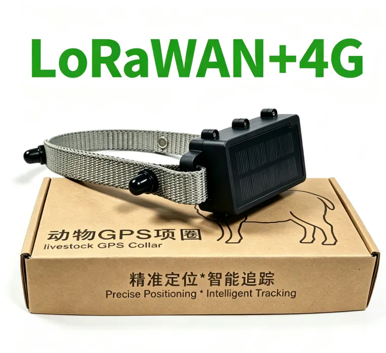 Solar LoRaWAN and 4G livestock collar